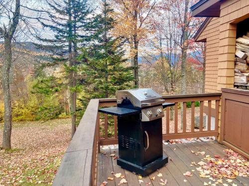 FC20 Comfortable Forest Cottage home - AC, great for kids, lots of yard space! Walk to the slopes!
