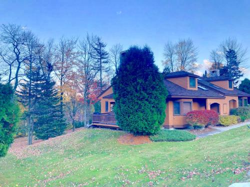 FC20 Comfortable Forest Cottage home - AC, great for kids, lots of yard space! Walk to the slopes!