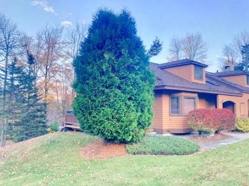 FC20 Comfortable Forest Cottage home - AC, great for kids, lots of yard space! Walk to the slopes!