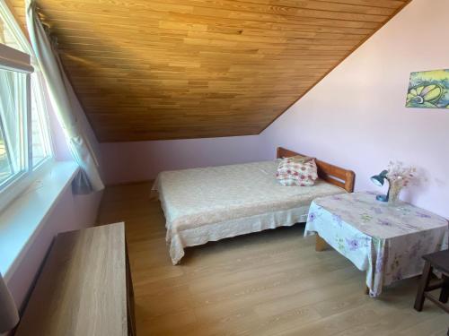 Rest in Palanga - image 10