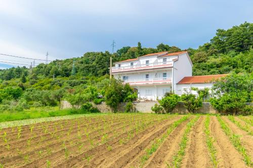 Apartments Mirta