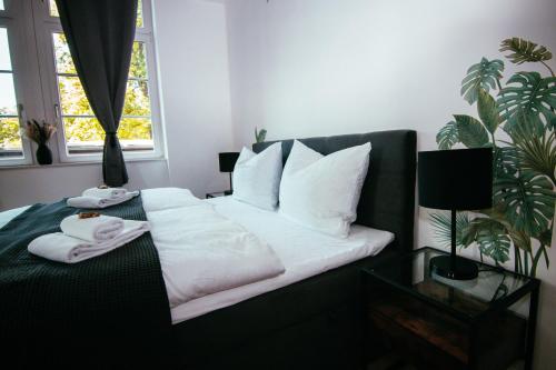 Oasis Appart - Wohnen im Königspark - Elbhang Dresden - große Terrasse - Netflix - TG, Drezno (zdjęcie 10)
