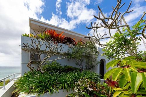 Luxe Oceanfront Penthouse! Yamba's best Suncrest 5 - image 2