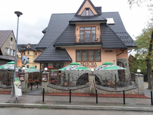 Brzoza w centrum Zakopanego, Zakopane