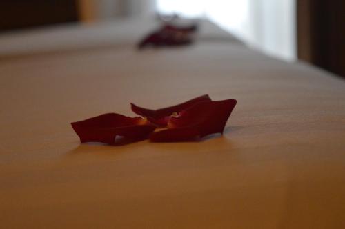 AYA Boutique Hotel Pattaya - SHA Plus image 14