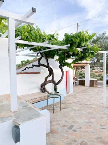 Monte da Borrega - Casa de Campo in Arronches
