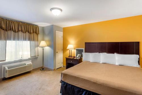 1 king bed