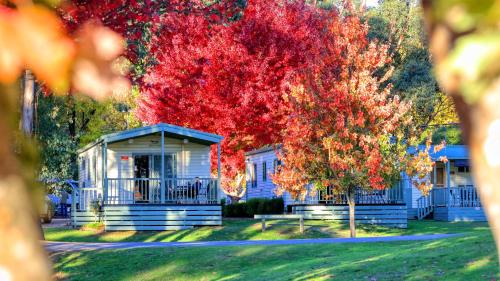 Beechworth Lake Sambell Caravan Park - Hotel - Beechworth