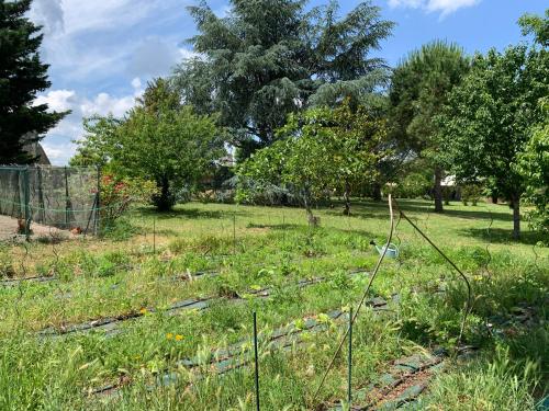 Domaine de Bellevue in Portets