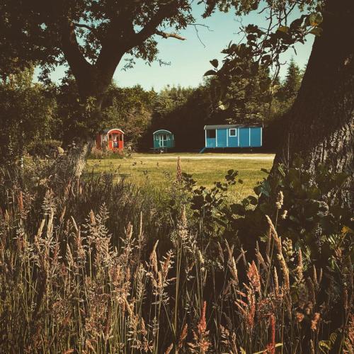 Pipowagens bij Camping & Pannenkoekenrestaurant De Koppenjan Jubbega