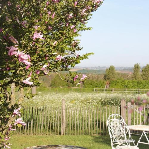 Amberhoeve - image 10