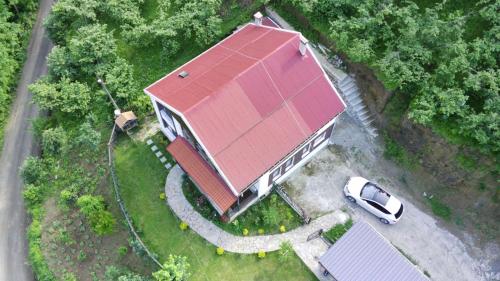 Trabzon green valley villa