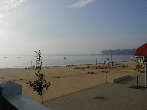 Fewo 08 Seemöwe mit Blick auf Salzhaff und Ostsee