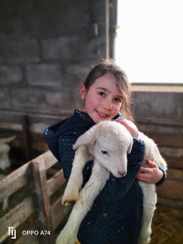 Gite la Dame au Lit gite à la ferme