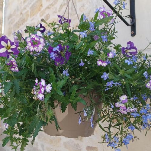 Wisteria Cottage at Gites de la Vienne