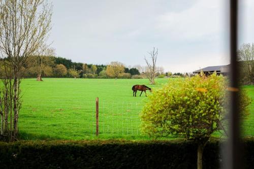 Gite la Dame au Lit gite à la ferme