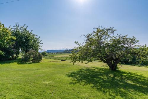265 - Bayview Together Farm - image 6