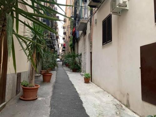 IL PANARO, Palermo (fotografie 4)