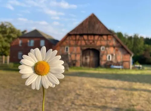 Ferienwohnung Elbsegler in Bleckede, Deutschland