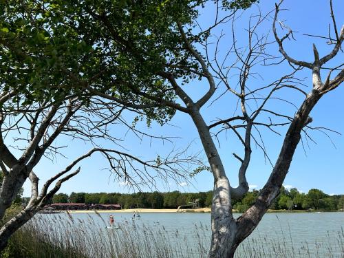 Drents Genieten - Ericaheide met privé sauna en jacuzzi