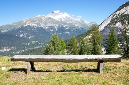 Les 3 marmottes duplex proche de la station Les Karellis in Montricher-Albanne