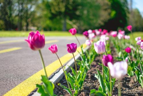 Napfeny Hotel - image 4
