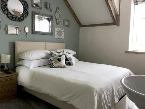 St Bernards - image 12