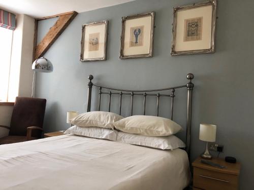 St Bernards - image 9