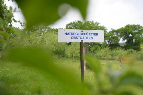 Schloss Kaarz mit Park