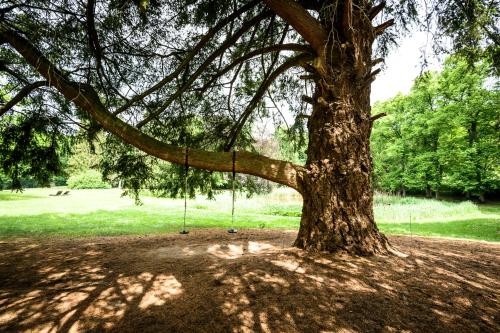 Schloss Kaarz mit Park