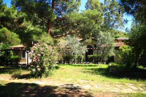 Eski Yeni Tatil Evi Olympos