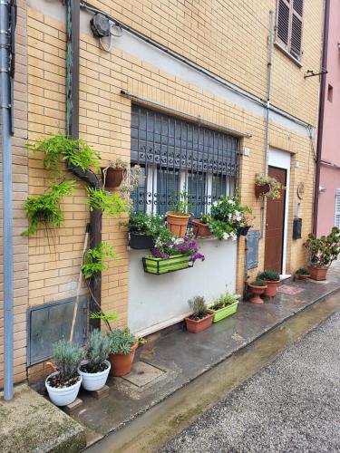 A CASA DI NONNA LUISA - Salvano