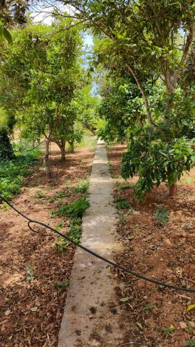 Stunning Villa with Pool, Table tennis, Table soccer and a Pool table, Naxxar (foto 5)
