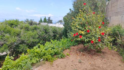 Stunning Villa with Pool, Table tennis, Table soccer and a Pool table, Naxxar (foto 6)