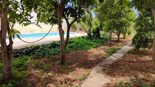 Stunning Villa with Pool, Table tennis, Table soccer and a Pool table, Naxxar (foto 7)