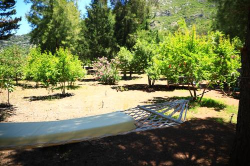 Eski Yeni Tatil Evi Olympos