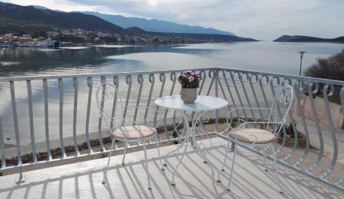 La Gatta Apartmani