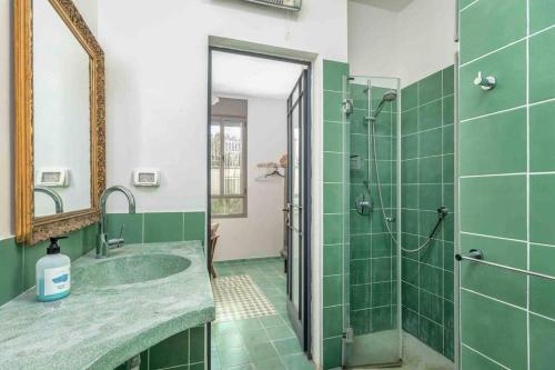 Spacious Duplex Garden 2BR Parking in neve Tsedek Spacious Duplex Garden 2BR Parking in neve Tsedek