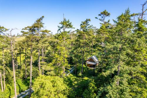 280-Penn Cove Overlook - image 41