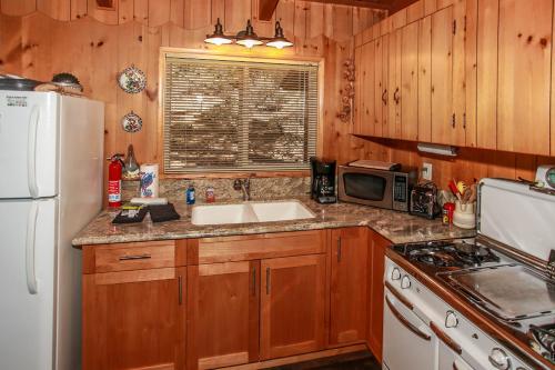 Owl Cabin - Sierra style cabin located on a quiet road in Fawnskin and backs up to National Forest! in Fawnskin, USA