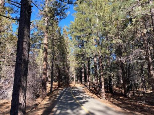 Mountain View Hideaway - Beautiful Moonridge home nestled among lush greenery! in Big Bear Lake, USA