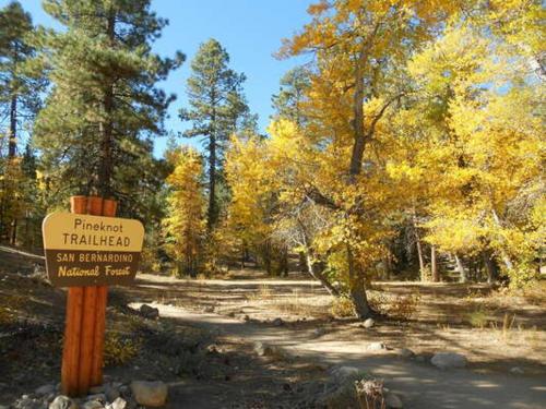 Chief Bears Den - Serenity awaits! Water feature & Mini putting course course on site! in Big Bear City, USA