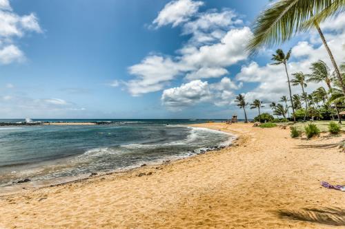 Manualoha - image 8