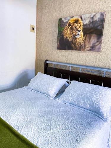 Standard Double Room image 6