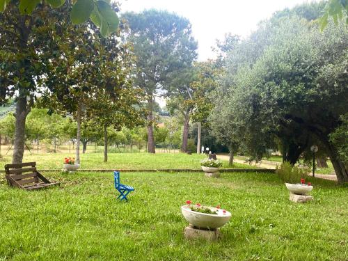  Adamasseria Case Vacanza in Collecorvino