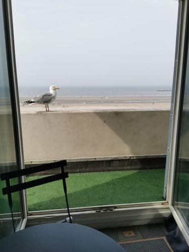 Villa faidherbe, malo face à la mer - Location saisonnière - Dunkerque