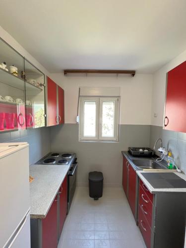 One-Bedroom Apartment image 5