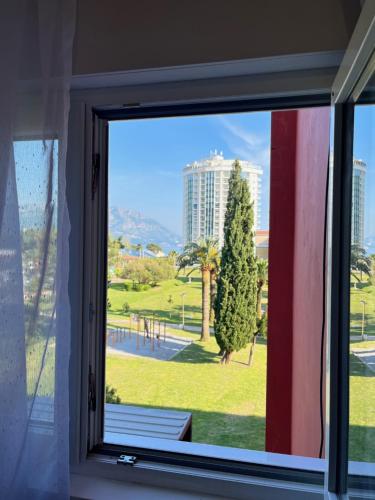 One-Bedroom Apartment room in Sunny apartment