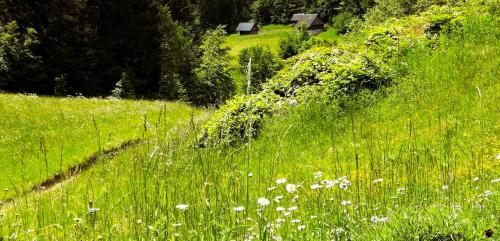 APARTMENT in CHALET BOHINJ - image 9