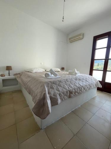 Nature house #2 — other in Kaloxylos Naxos 1, Naxos Chora, 84300, Greece